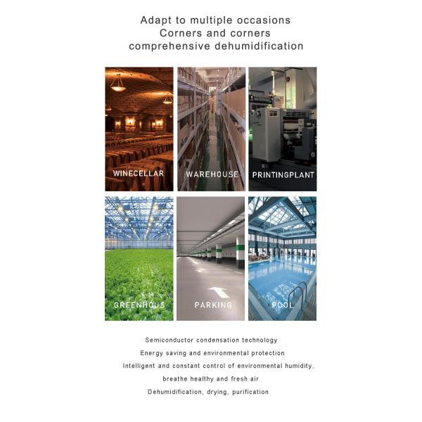 New Arrivals Slim Size 50L/D Greenhouse Basement Warehouse Ceiling Mounted Dehumidifier