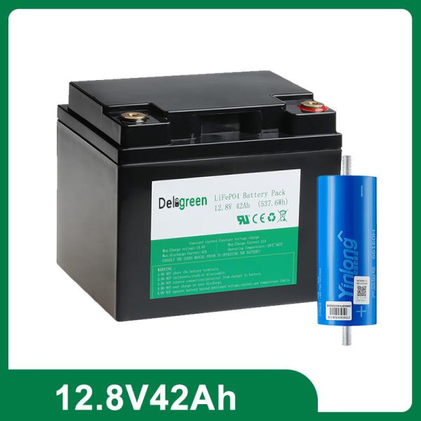 42AH 12V Lithium Iron Phosphate Battery with 2000 Cycles and Built-in BMS for Solar Systems