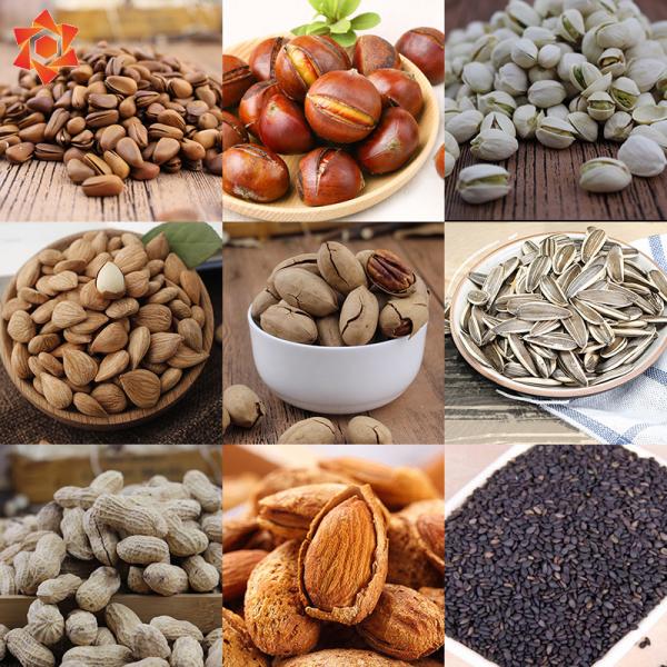 Compact Automatic Food Processing Machines Sunflower Seed Roasting Machine