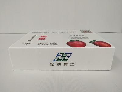Anti Mold Gift White Corrugated Boxes Packaging Anti Rodent