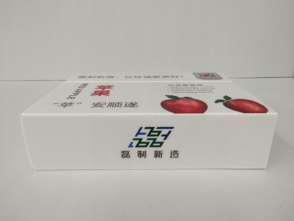 Anti Mold Gift White Corrugated Boxes Packaging Anti Rodent