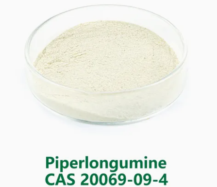 GMP factory  supply 98% Purity Piperlongumine Powder CAS 20069-09-4  low price