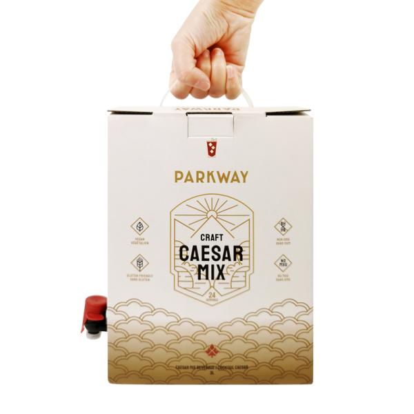 1L 1,5L 2L 3L 5L 96OZ BIB BAG Sac jetable en boîte Thé jus de café à emporter Boîte en papier avec distributeur