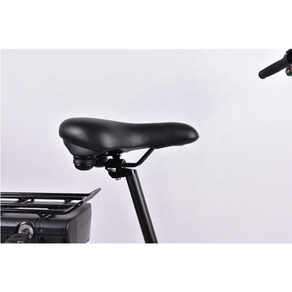 20 Inch Lightweight Foldable Electric Bike , 350w Ultra Light Ebike