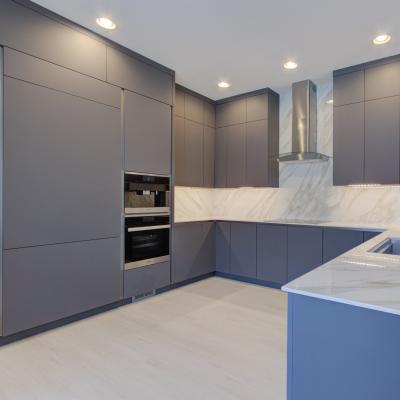Modern Style Matt Gray PVC Paint Kitchen Cabinet