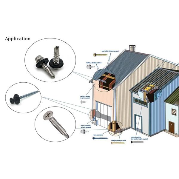 Гальванизированный винт собственной личности наговора SS616L сверля с шайбами