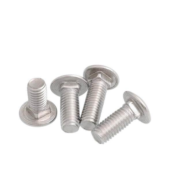 SS304 Stainless Steel M3 M4 M5 M6 M8 M10 Carriage Bolts with ISO9001 2015 Certificate