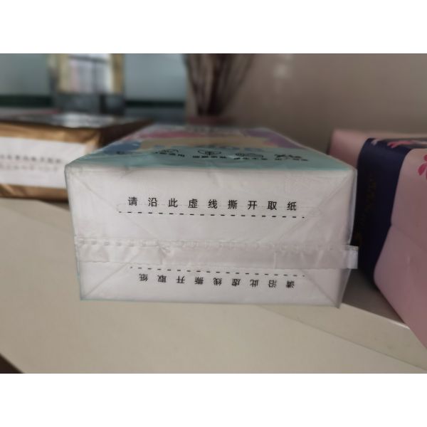 Fully Automatic Bottom Pull Packing Machine Single Packing Machine Or Multiple Roll Paper Packing Machine Offering Packaging Performance