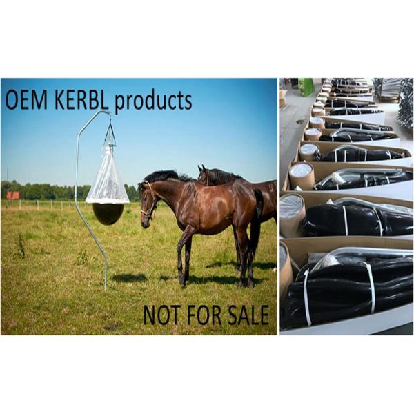 Win Balance Enterprise Co., LTD.