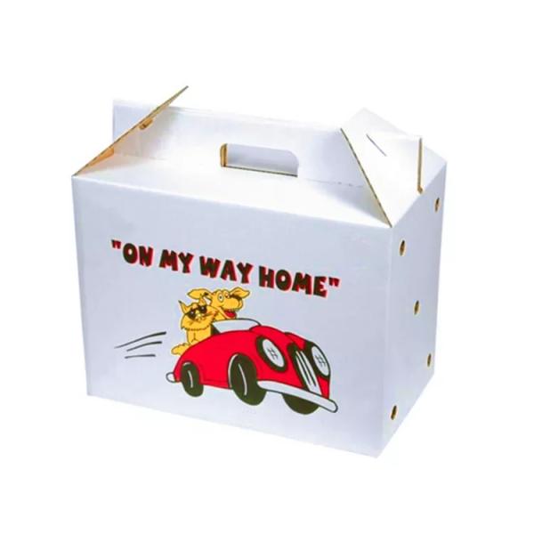 Упаковка плода CMYK кладет выполненную на заказ рифленую коробку в коробку плода