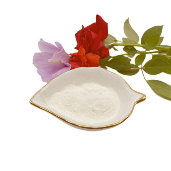 Magnesium 10% Nitrogen 10% Chelated Amino Acids Foliar Organic Fertilizer