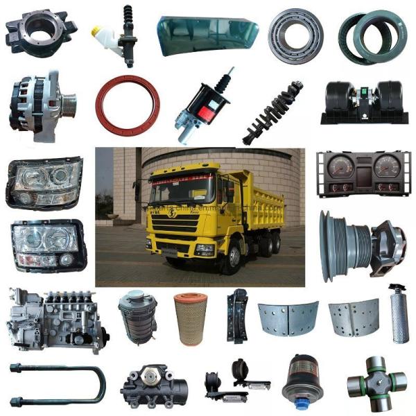 Часть No Dz9100130028 Силовой рулевой насос для Shacman Delong от Sino Truk Parts