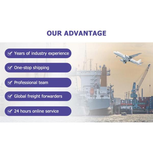 FBA International Ocean Freight Forwarder Sea Shipping To United States By Maston Zim Cosco