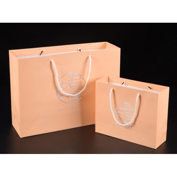 Silver Foil CMYK Colors Printed Coated Kraft Paper Packaging Bags 250gsm