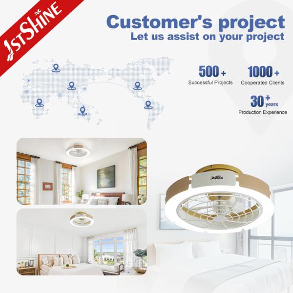 110-240V/50Hz-60Hz Input Voltage Bedroom Indoor Ceiling Fan Light with Remote Control