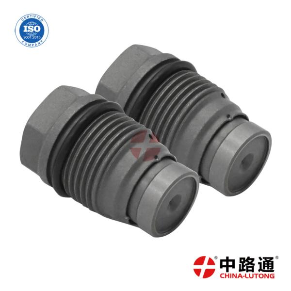 Common Rail Piezo Injector Control Valve Kit 1 110 010 024 for Buy  Pressure Relief Valve