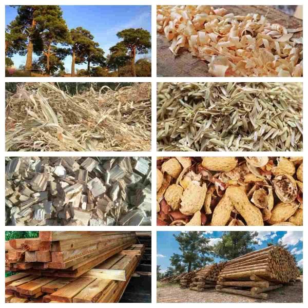 Biomass Wood Pellet Production Line Heating Biomass Pellet Stove Pellet Machine