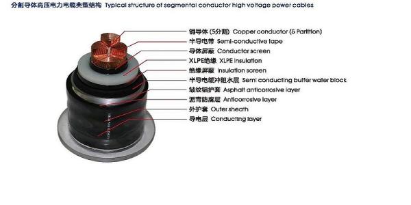 Power Cables Cu/XLPE/CAS/PVC XLPE Insulated Underground Power Cable