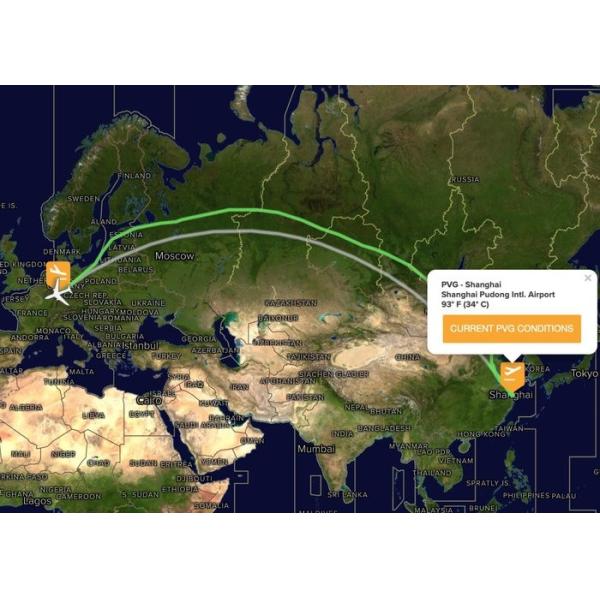 Sino - EU Air Cargo Delivery China To Frankfurt Germany Support FOB EXW DDP