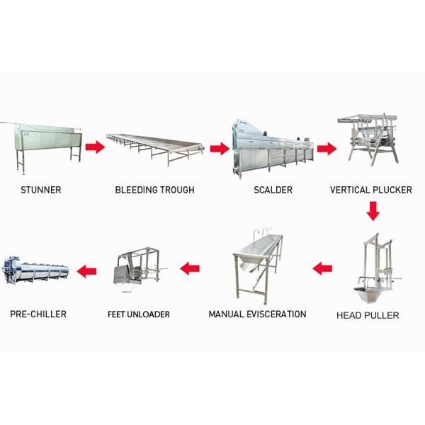 300-12000 цыпленок Birds/H зарезать линию, машинное оборудование птицефермы CE