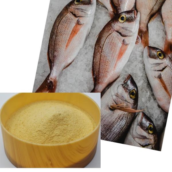 Marine-Source 82% Peptide-Rich Amino Acid Powder - 100% Water Soluble Organic Fertilizer and Bio-Stimulant for High-Value Crops