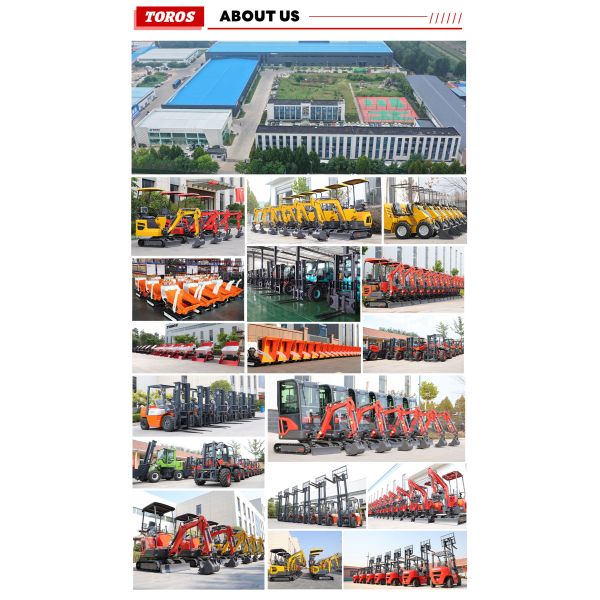 TE-10 Mini Excavator Latest one-ton mini excavator,New mechanical structure,Thickened tracks