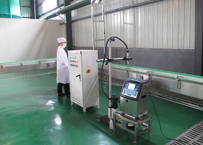 24000bph Carbonated производственная линия напитков для разливать по бутылкам