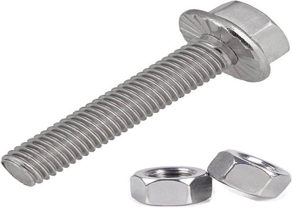M5 M6  Stainless Steel SUS304 SUS316 Serrated Hexagon Head Flange Metal Bolt DIN6921