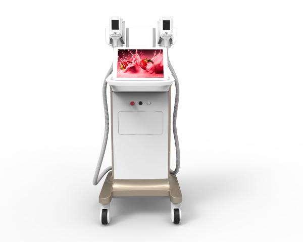 New arrival 2 handles coolsculption fat freezing machine cryolipolysis weight loss cryotherapy 2 handles big discounting