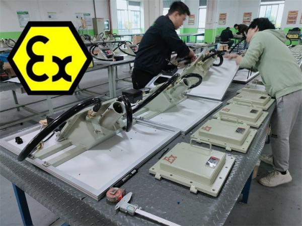 Éclairage solaire à l'épreuve des explosions Atex IECEx homologué WF2 IP66 pour ZONE1 ZONE2 div1 CLASS1 CLASS2 Éclairage extérieur industriel au gaz 100Watt 140lm