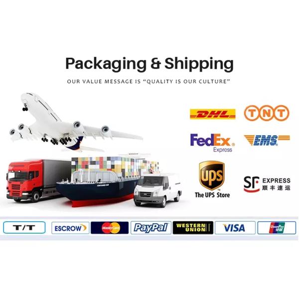 Подгонянная плоская отделка шнурка вышивки 9cm для оформления одежд