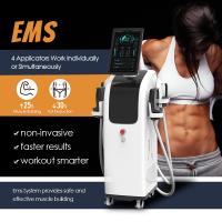 220v CE Certified  Ems Culpt Machine Beauty Muscle instrument