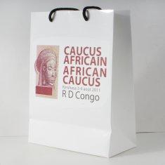 Service d'impression sensible fort adapté aux besoins du client de sac de transporteur de papier avec le logo de marques