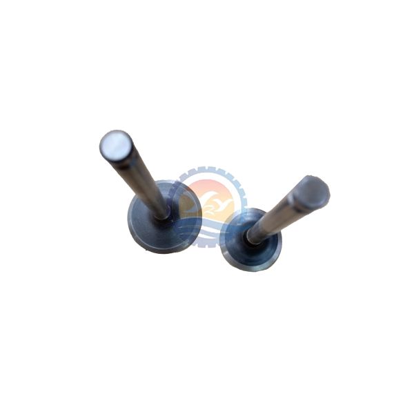 High Quality 6D34  Intake Valve ME013810 6D34 Exhaust Valve ME013832 for Mitsubishi