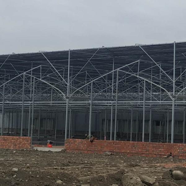 Invernadero reforzado de las láminas de plástico para el clima tropical prefabricado