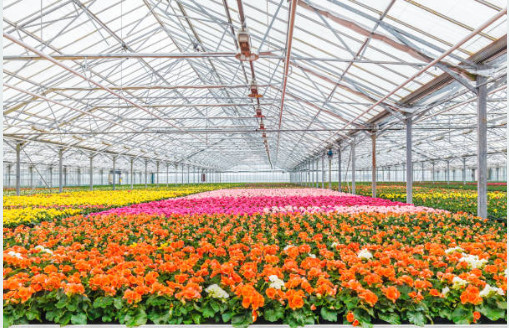 2x2ft Full Spectrum LED Grow Light длительный срок службы для внутреннего садоводства