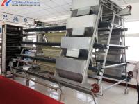 Equipo automático de cría de pollos de engorde de tipo H. Jaula de pollo de acero