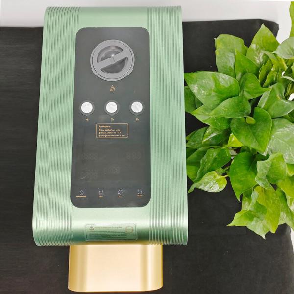 WEIZI 220W Hydrogen Inhalation Machine with 2000ppb Water Generator