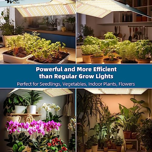 Luz de crecimiento de las plantas LED 480W BU4800 para Daisy Chain LEDs regulables