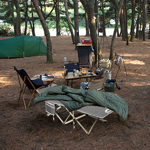 Camping Cot, 450LBS(Max Load), Portable Folding Outdoor Bed with Carry Bag Adults Kids, Heavy Duty Cot Traveling