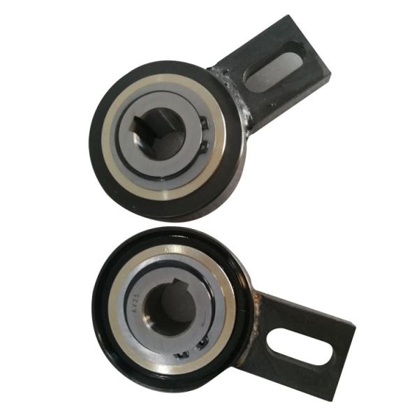 backstopping clutch AV110 GV110 Alternative C.T.S backstop bearing AV120 GV120 one way freewheel clutch