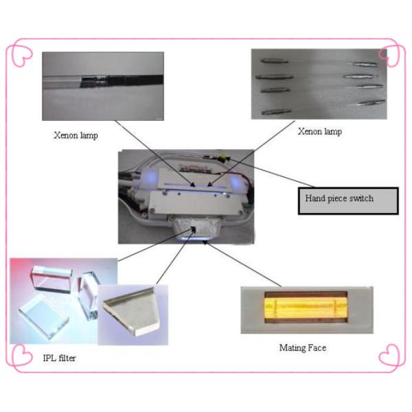 Salon Elight SHR Laser Hair Removal / IPL Skin Rejuvenation Equipment