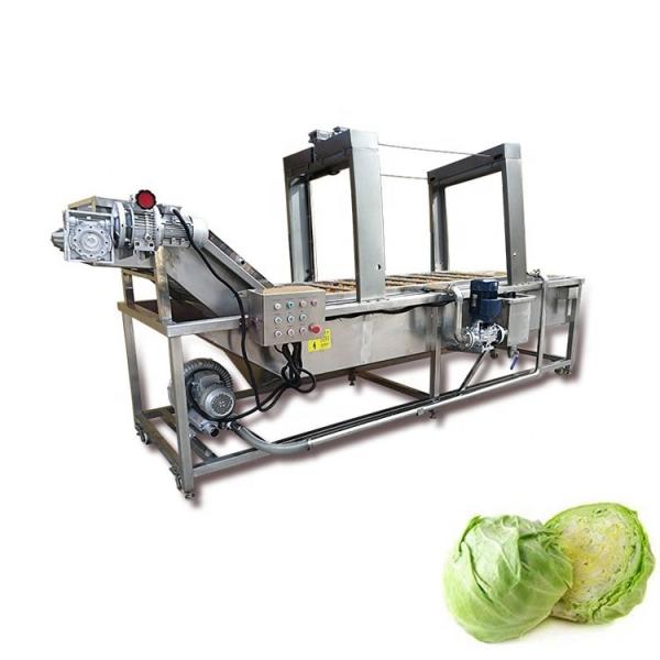 2000kg/H Borracha de bolhas Agrícolas Máquina de lavar frutas e vegetais Hotéis