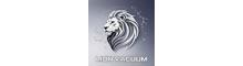 Hubei Lion King Vacuum Technology Co., Ltd.