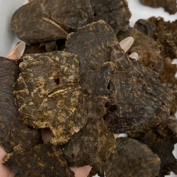 Bulk supply of authentic OUD Agarwood chips and powder ideal for perfume manufacturing and traditional incense crafting