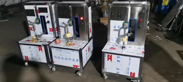 Cost-Effective Mango Juice Mango Pulp Puree Full Automatic Mango Processing Line Production Plant Price