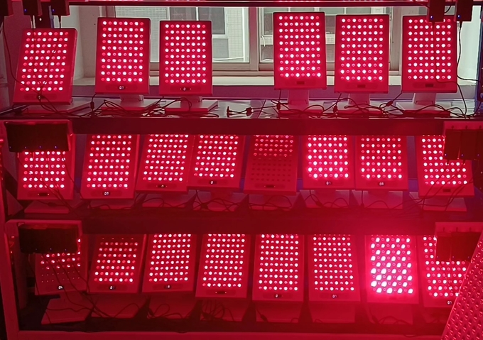 Портативный ультракрасный красный прибор 660nm 850nm 300W терапией света СИД со стойкой