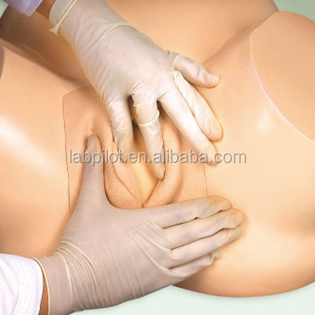 Vacuum Extraction Birthing Simulator for Midwifery Training Patients Care Demonstration
