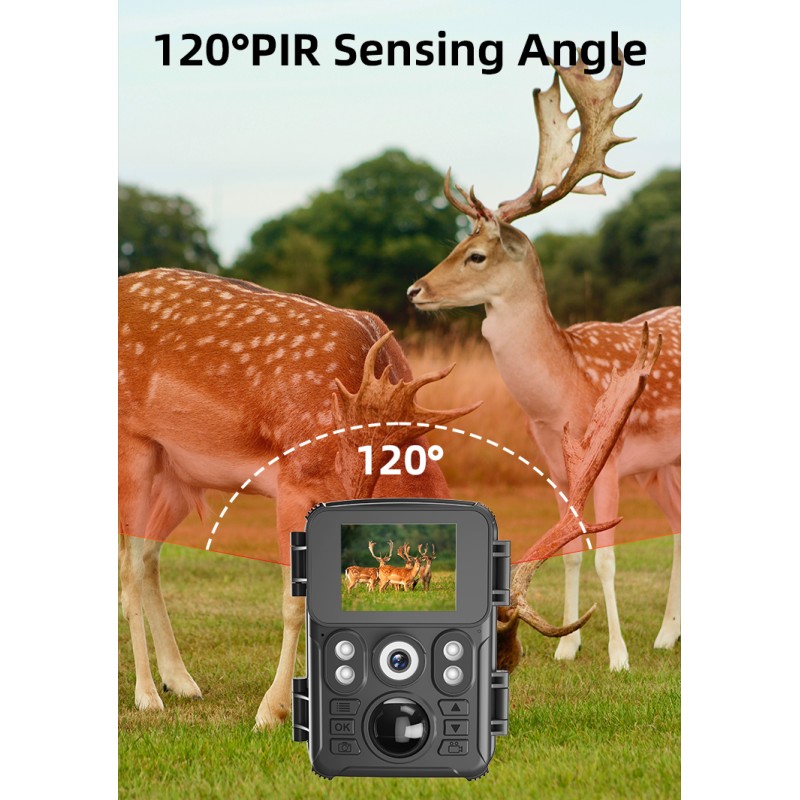 Factory Direct 720P HD Trail Hunting Camera Outdoor Wildlife Waterproof IR Night Vision Trail Camera Animal Trap Mini Camera