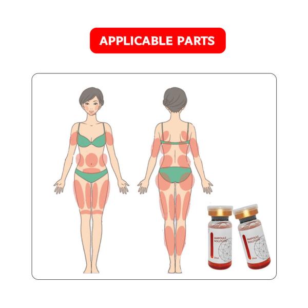 solução vermelha da lipólise da ampola de 5 tubos de ensaio para o emagrecimento do corpo